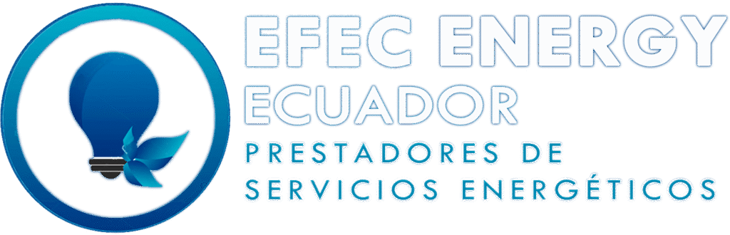 LOGO-EFEC-ENERGY-2025 HORIZONTAL-WEB-FINAL 3